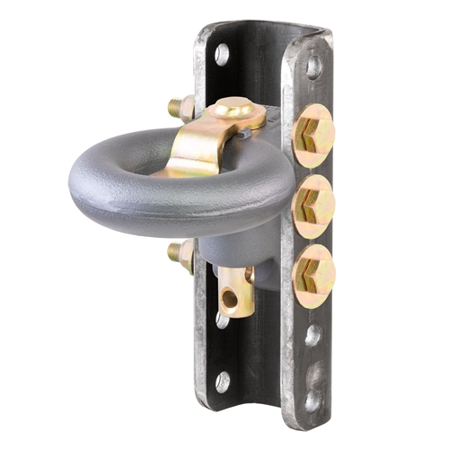 CURT SecureLatch Lunette Ring and Channel